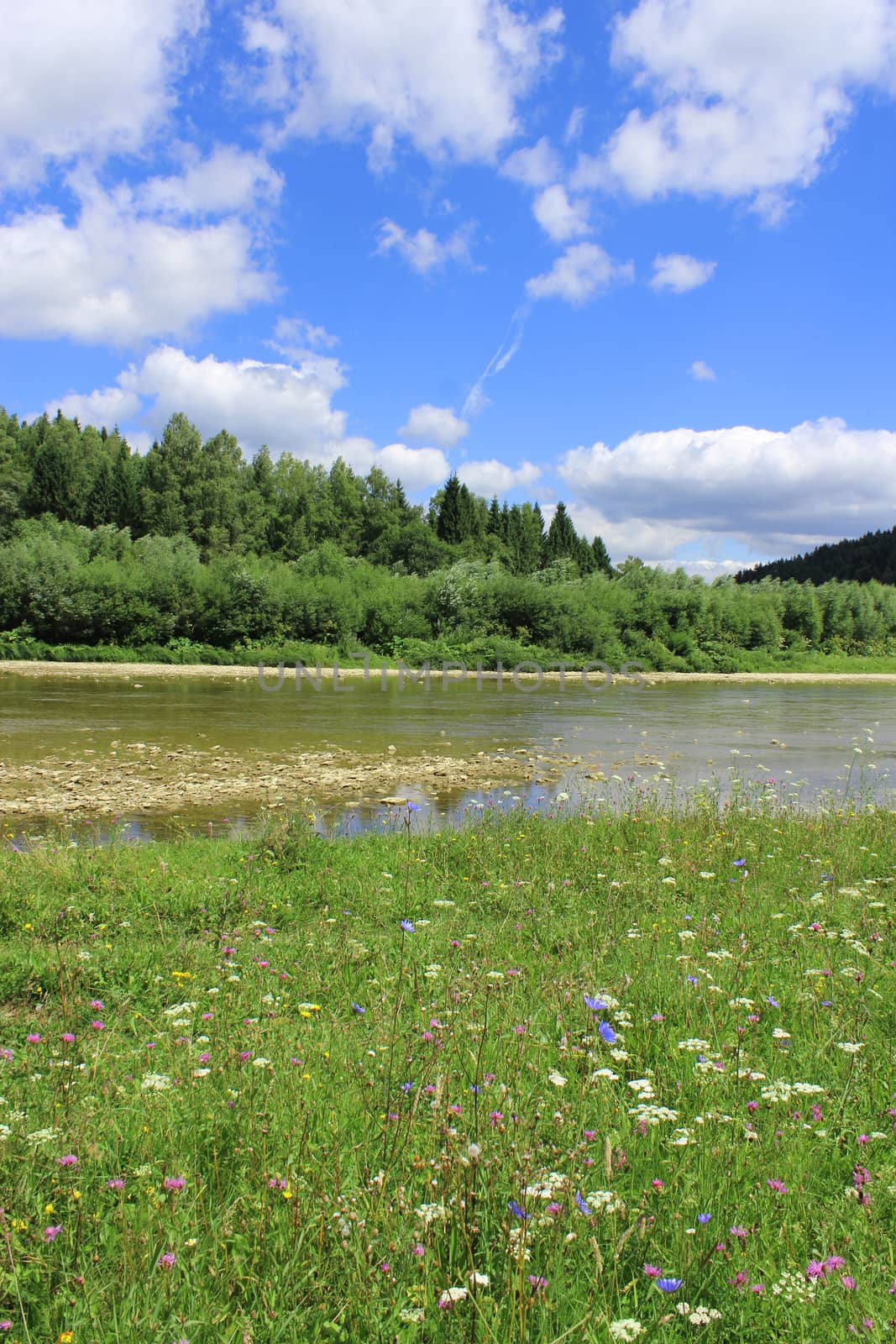 beautiful landscape with speed water in mountainous river