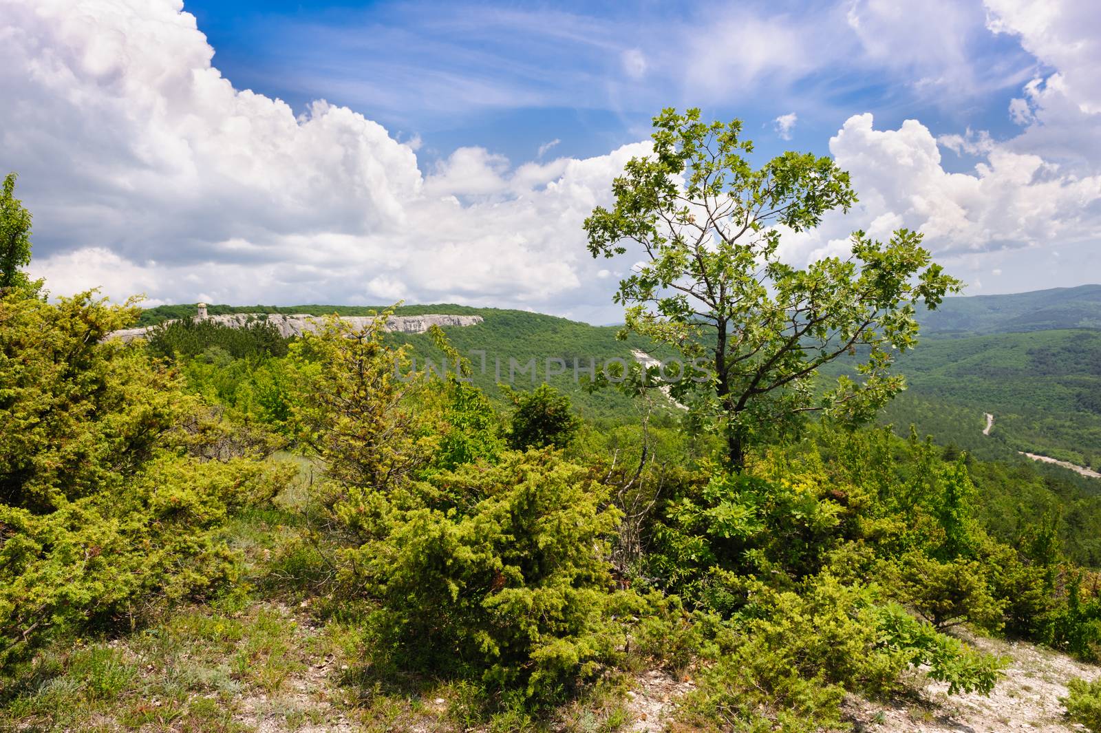 Landscape of mountain Crimea by starush