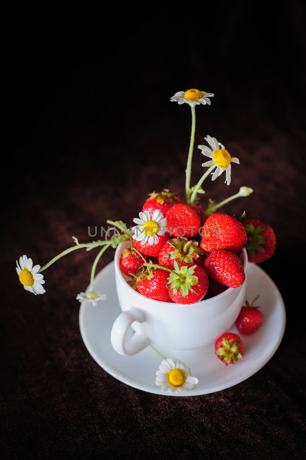 chamomiles and strawberries in white coffee cup, on dark brown background