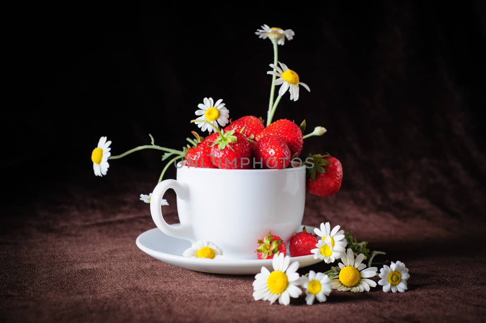 chamomiles and strawberries in white coffee cup, in rays of sunlight, on dark brown background