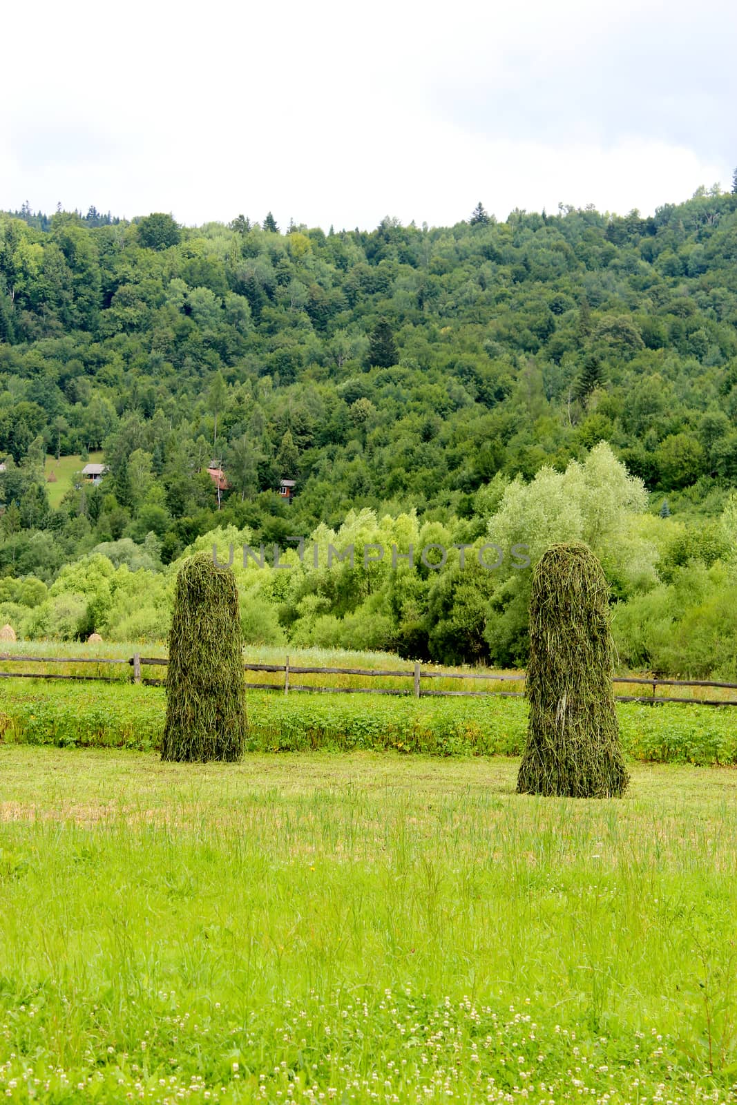 two big mows of hay by alexmak