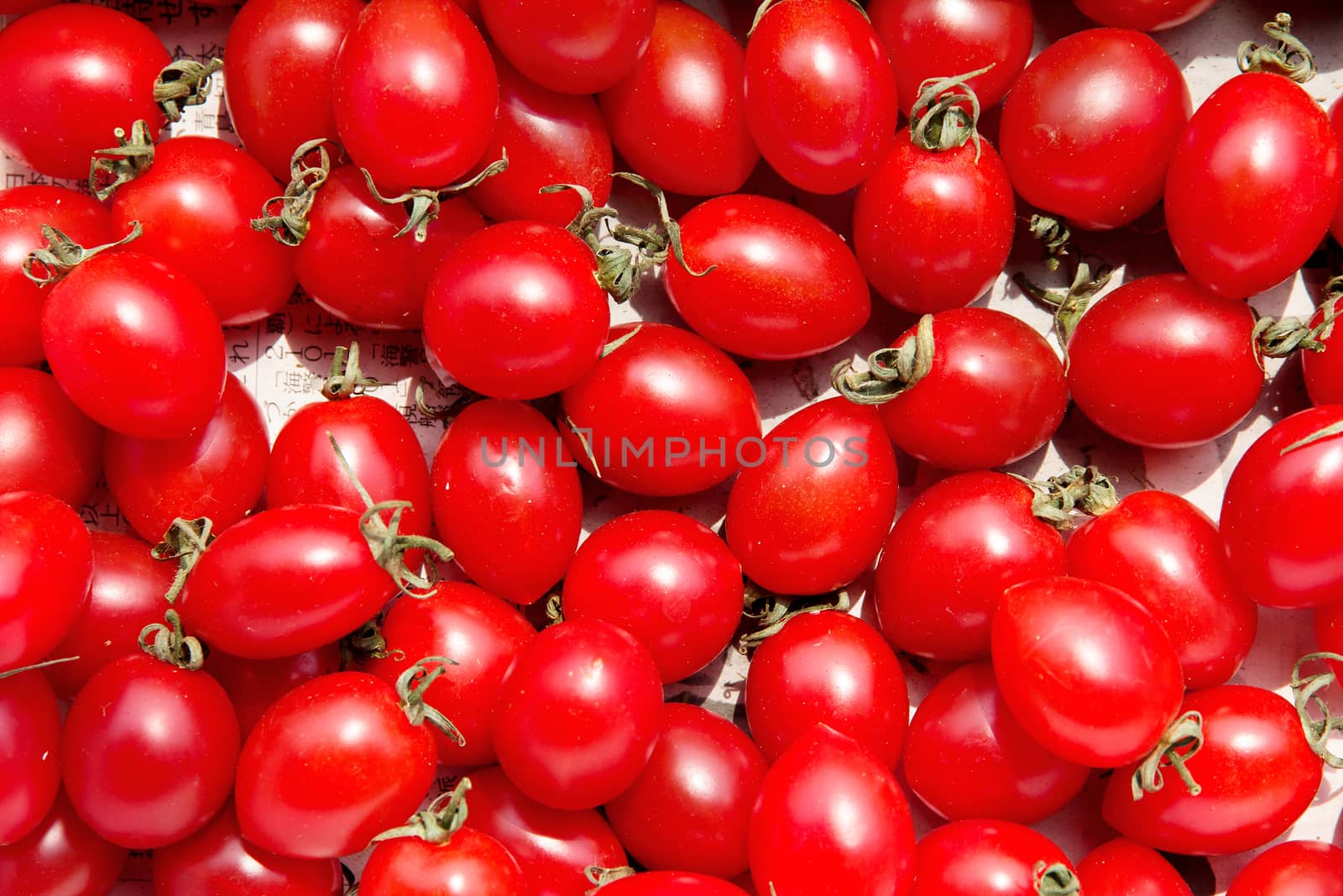 red tomatoes background