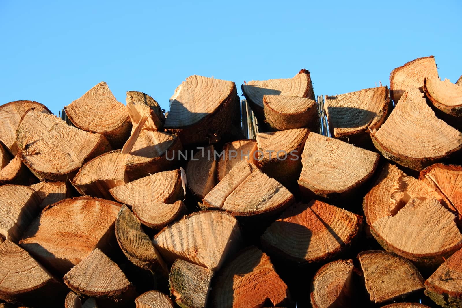 A stack piled logs, blue sky in the background