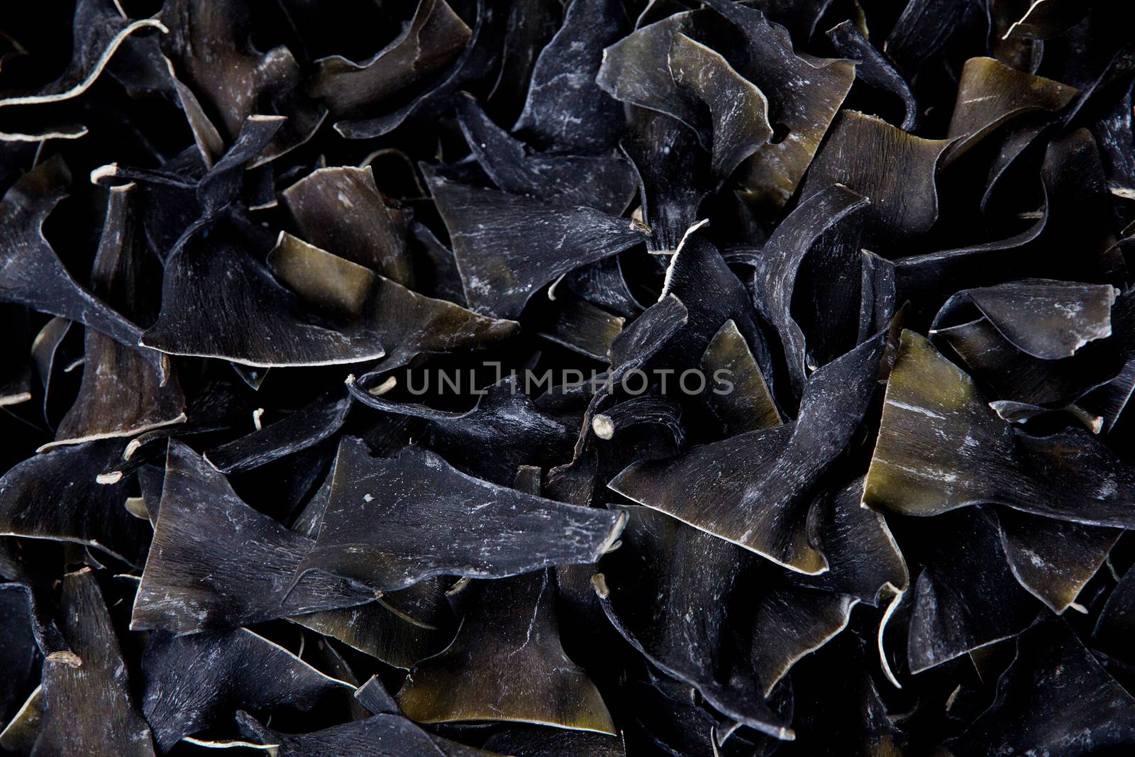 Dried kombu, a type of sea vegetable.