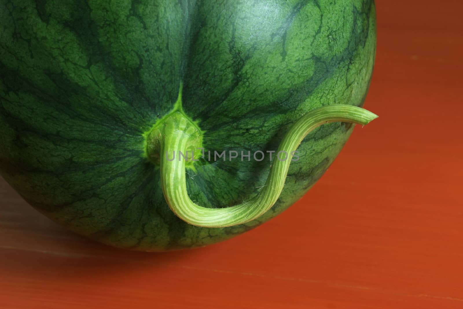 Close up of  Watermelon