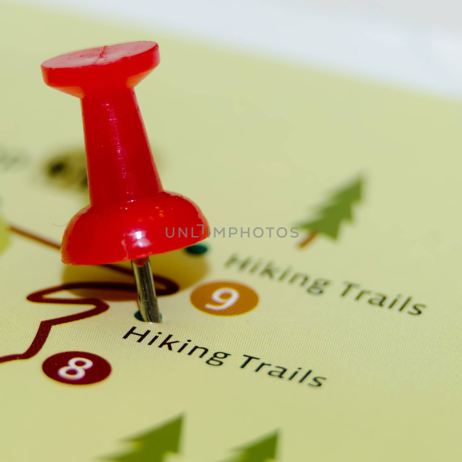 hiking trails pin on the map by digidreamgrafix