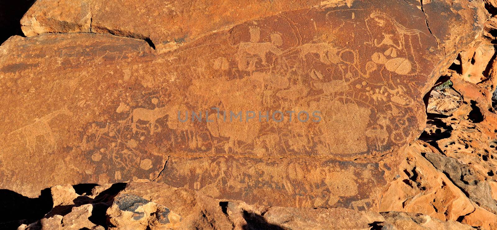 Rock engravings at Twyfelfontein, Namibia by dpreezg
