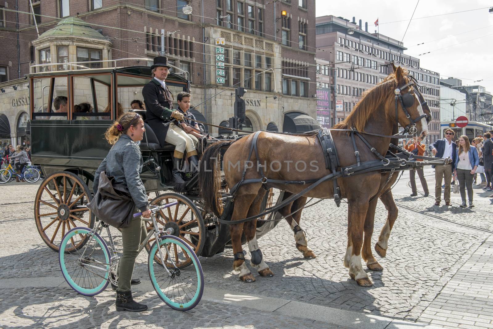 Amsterdam horse taxi by Alenmax