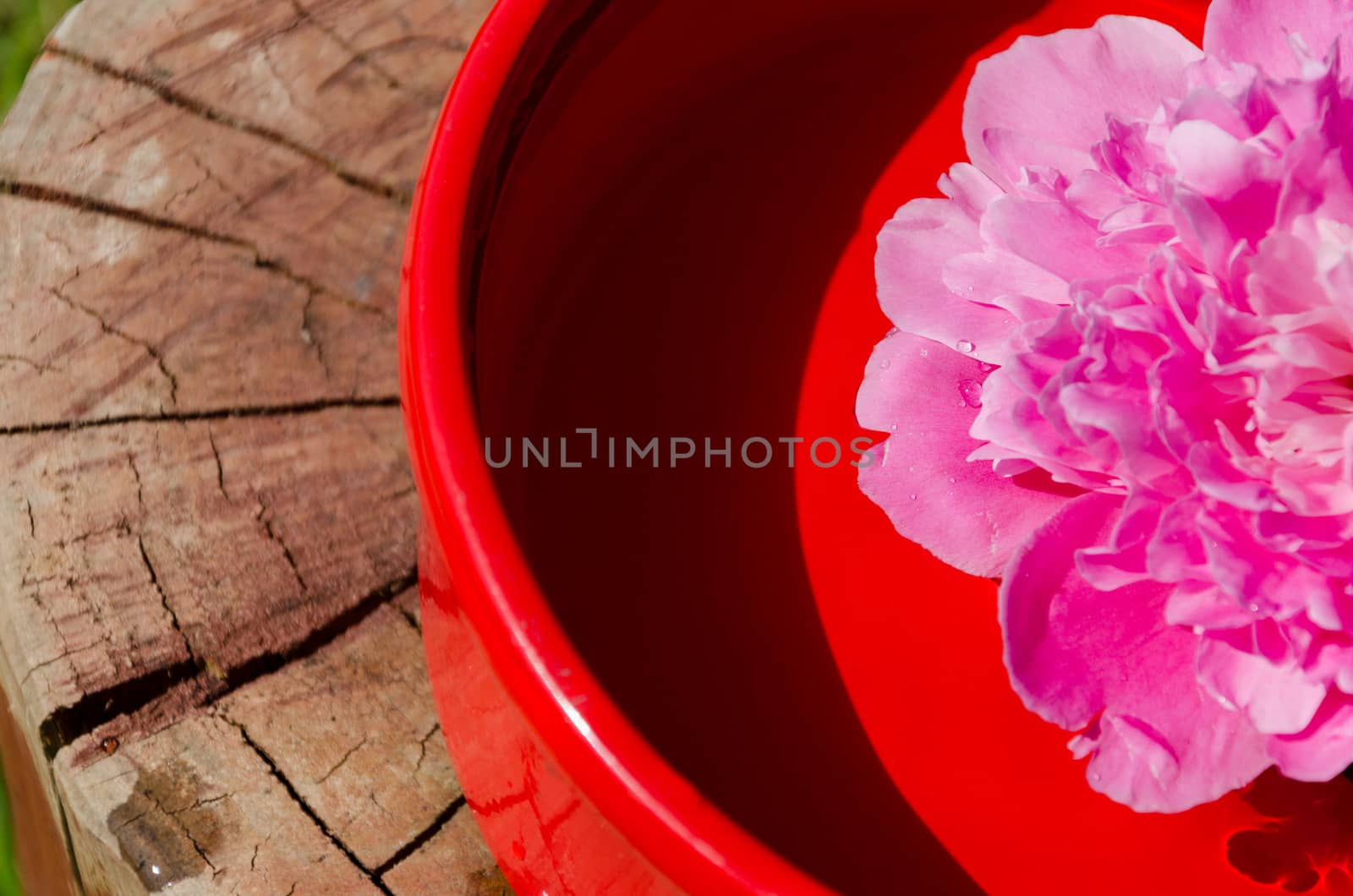 concept of pink peony petals in clay bowl on wooden surface