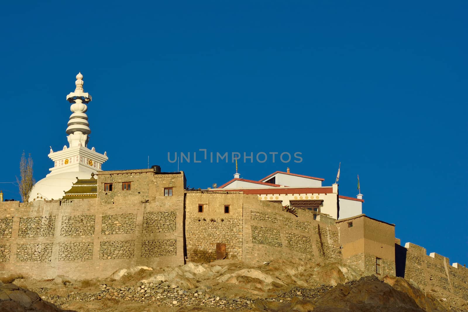 Holy Shanti Stupa in Leh, Ladakh - Kashmir/India by think4photop