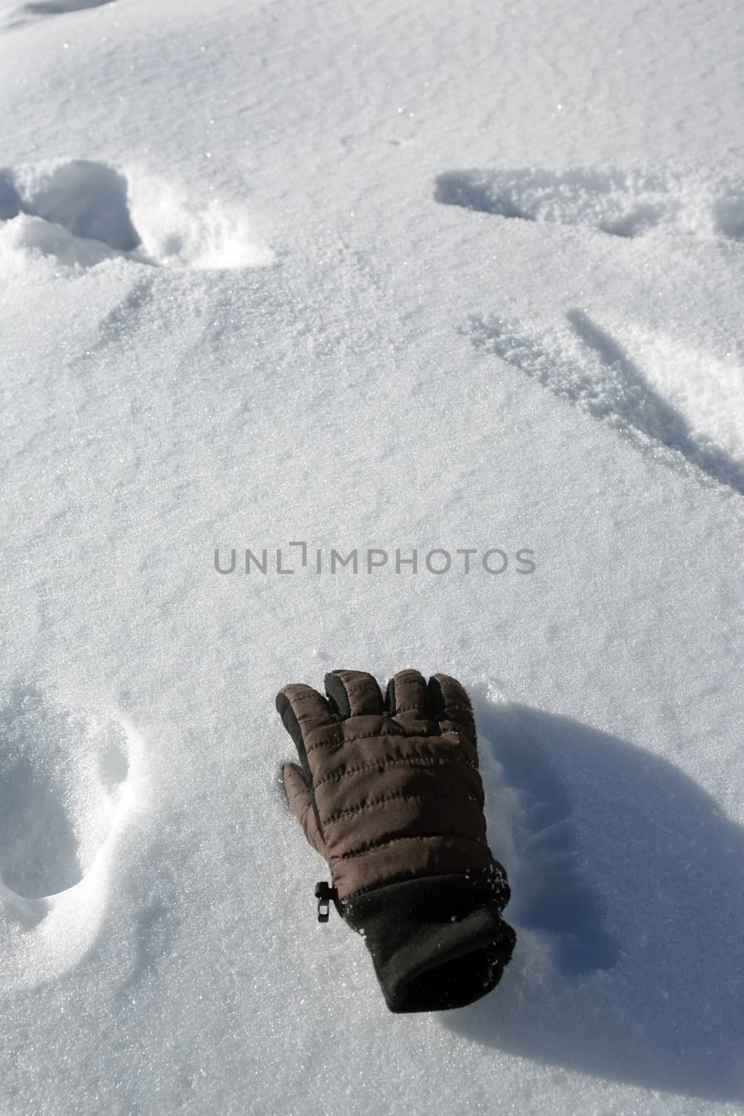 glove on snow
