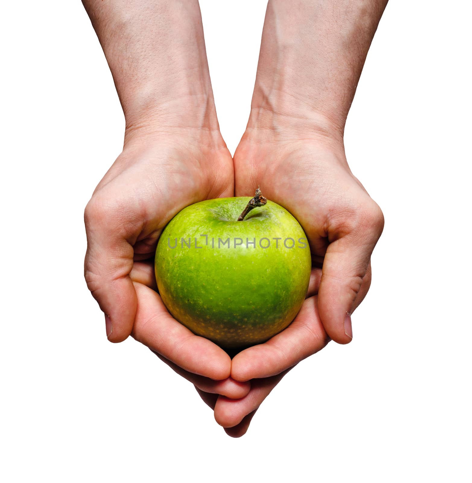 Men's hands holding green apple shot closeup isolated on a white background