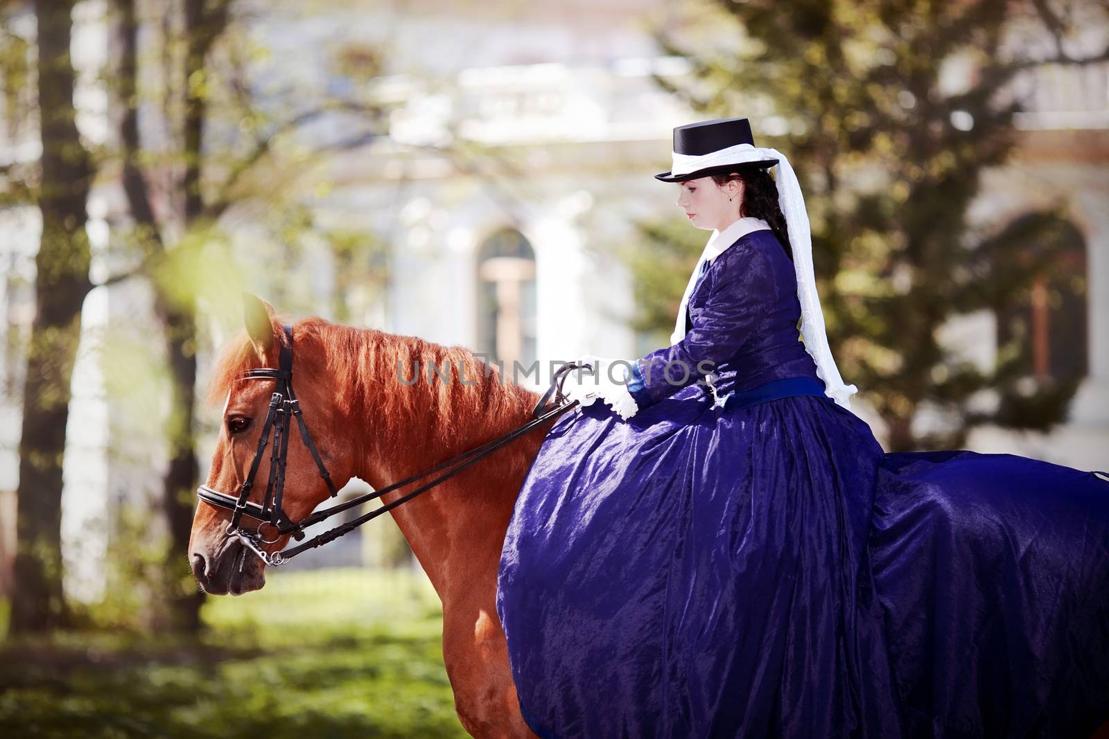 Lady on a  horse. The lady on riding walk. Portrait of the horsewoman. The woman astride a horse. The aristocrat on riding walk.