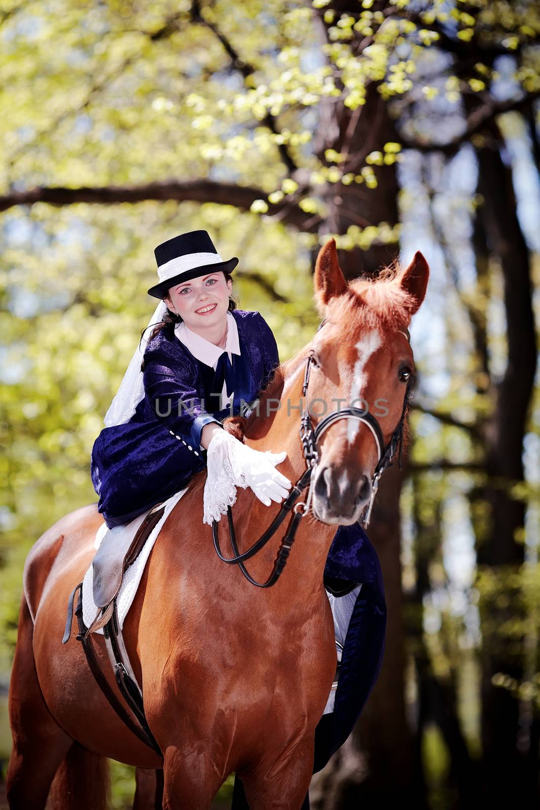 Lady on a  horse. The lady on riding walk. The woman astride a horse. The aristocrat on riding walk.