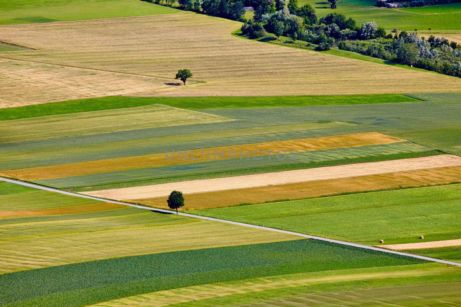 Aerial view of agricultural fields