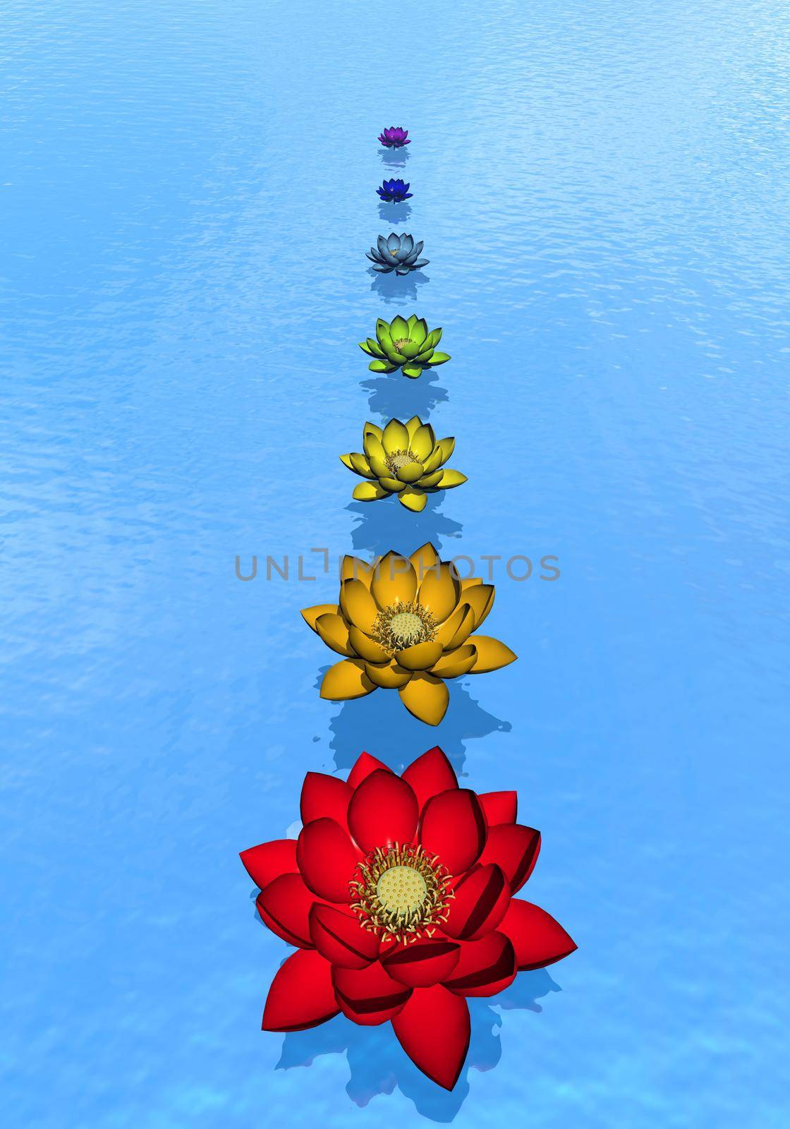 Lily flowers with chakra colors upon blue water