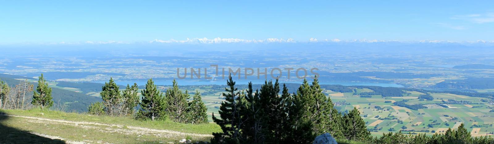 View of Alps from Chasseral mount in Jura mountain by beautiful summer day, Switzerland