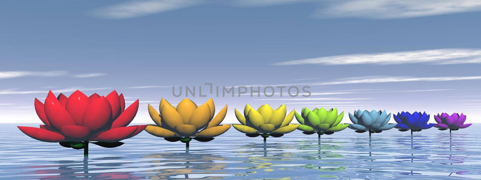 Lily flowers with chakra colors upon water by day sky