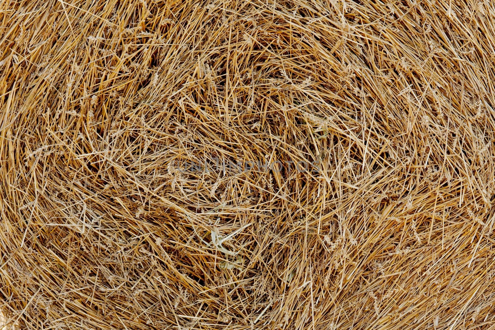 Closeup of a haystack for rural background