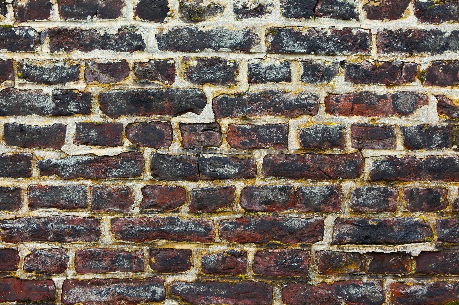 Brick Wall by Gudella