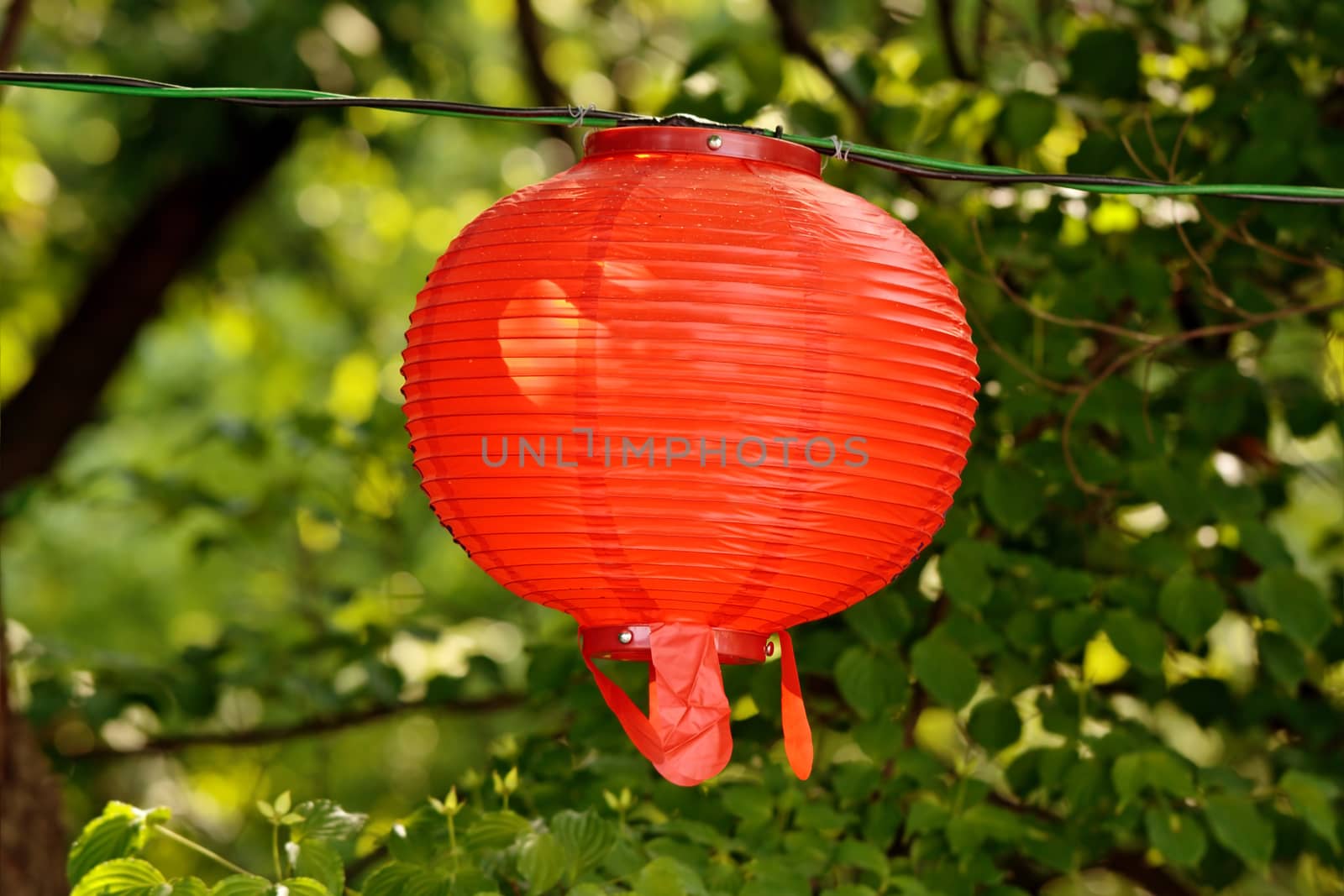 Round red lantern on Buddha's birthday on blurry floral green background