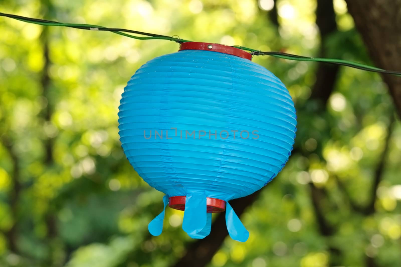 Blue round lantern on Buddha's birthday on a blurry floral green background