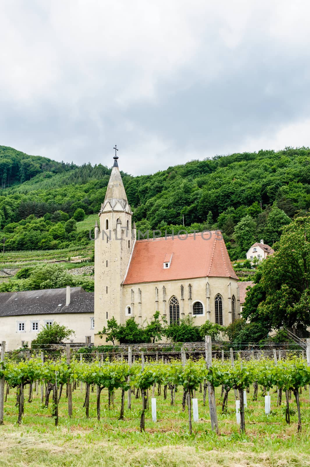 Church in the Vineyard, taken in Wachau