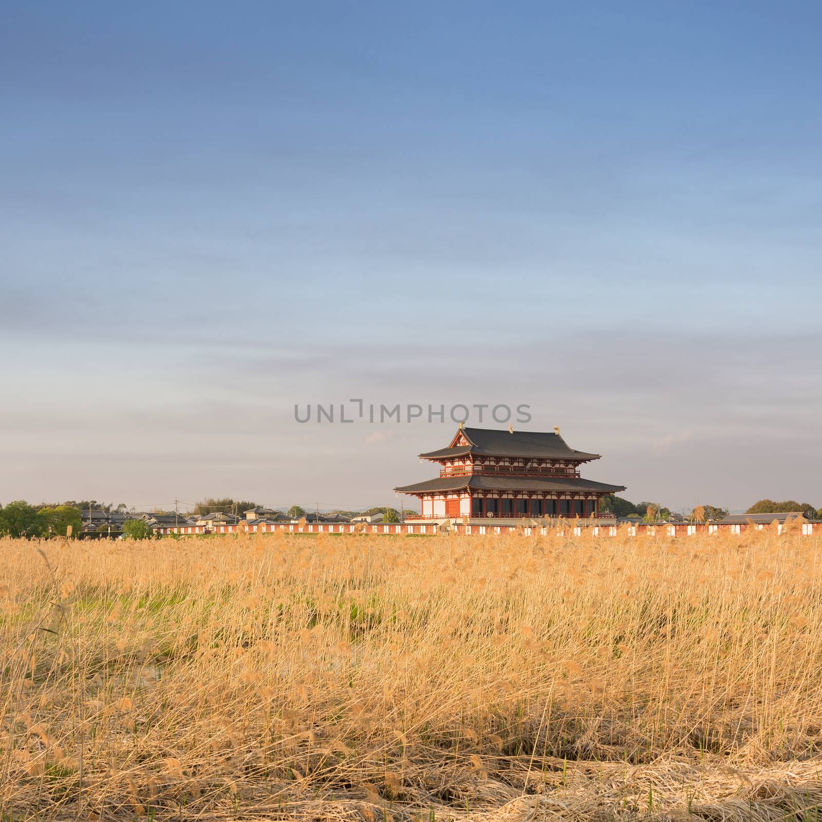 Nara Imperial Palace by elwynn