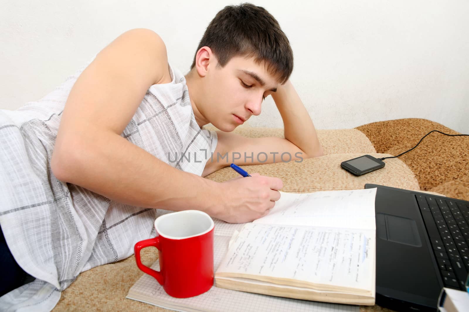 Teenager doing Homework on the Sofa with Laptop and many Books