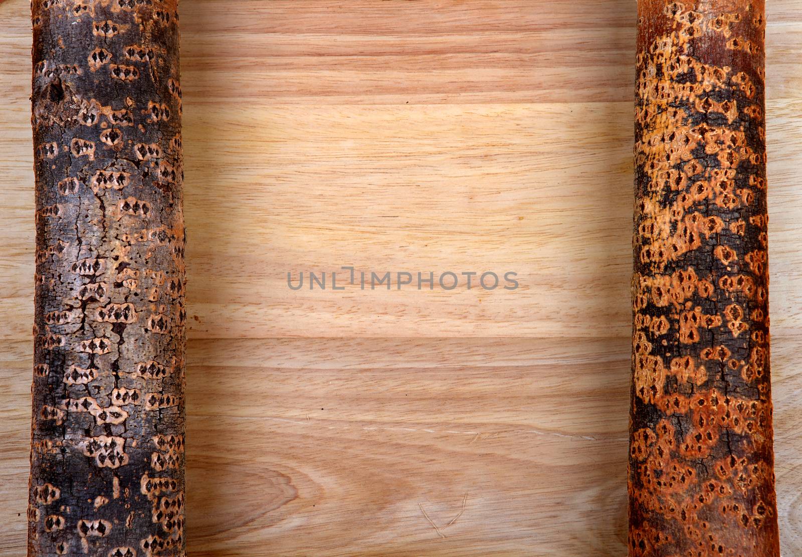 Two logs on the Wooden background