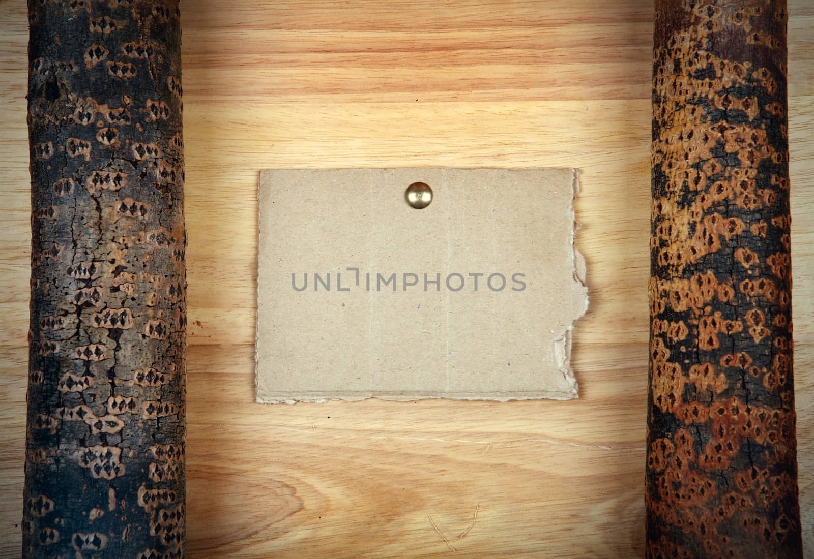 Two logs on the Wooden background and Empty Paper