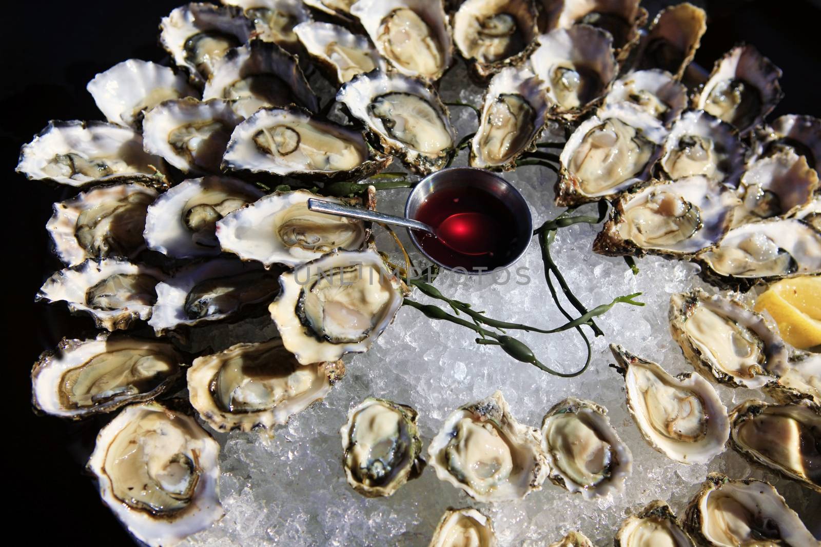 Opened oysters on ice with red souse