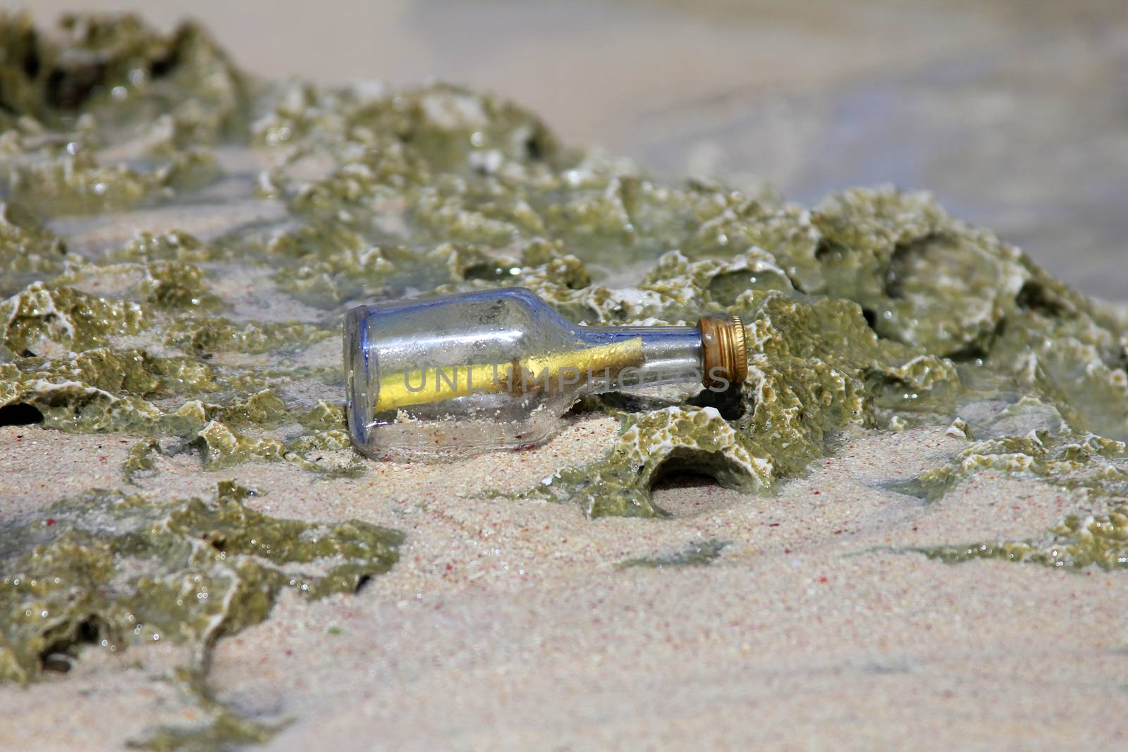 Message in the bottle on the beach