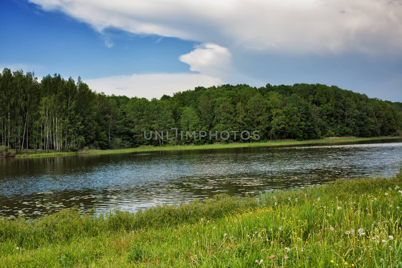 Blue sky, green wood, river and meadow by fotooxotnik