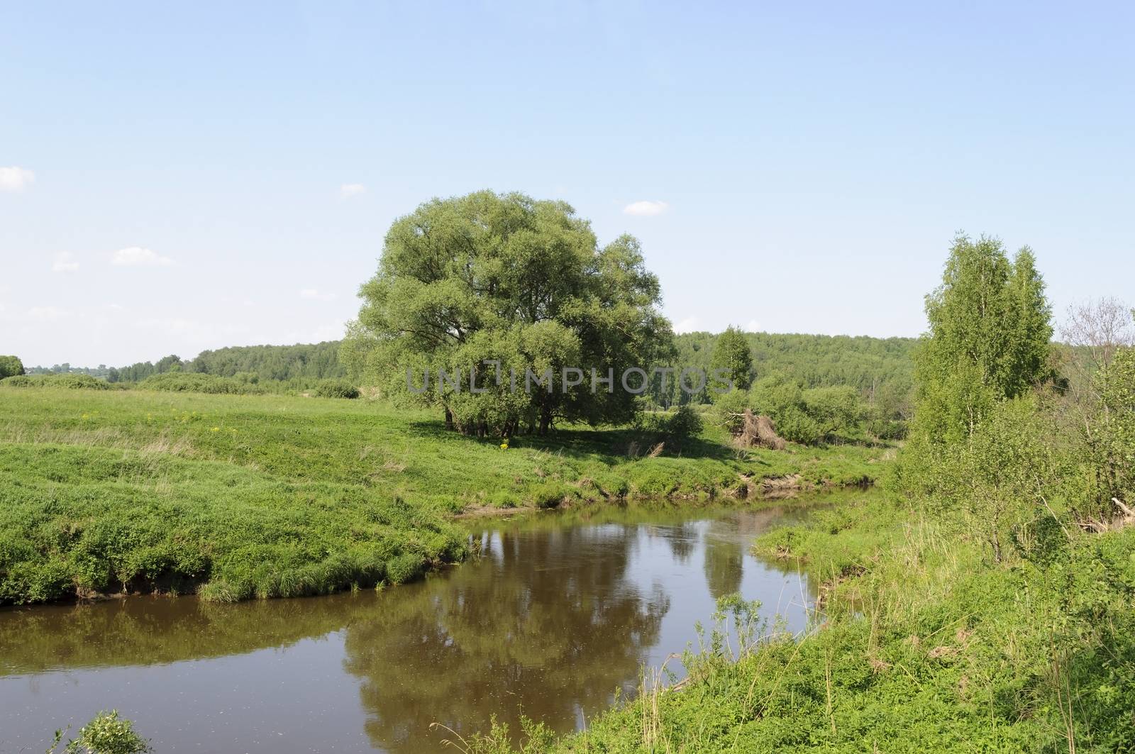 River landscape in spring time by wander