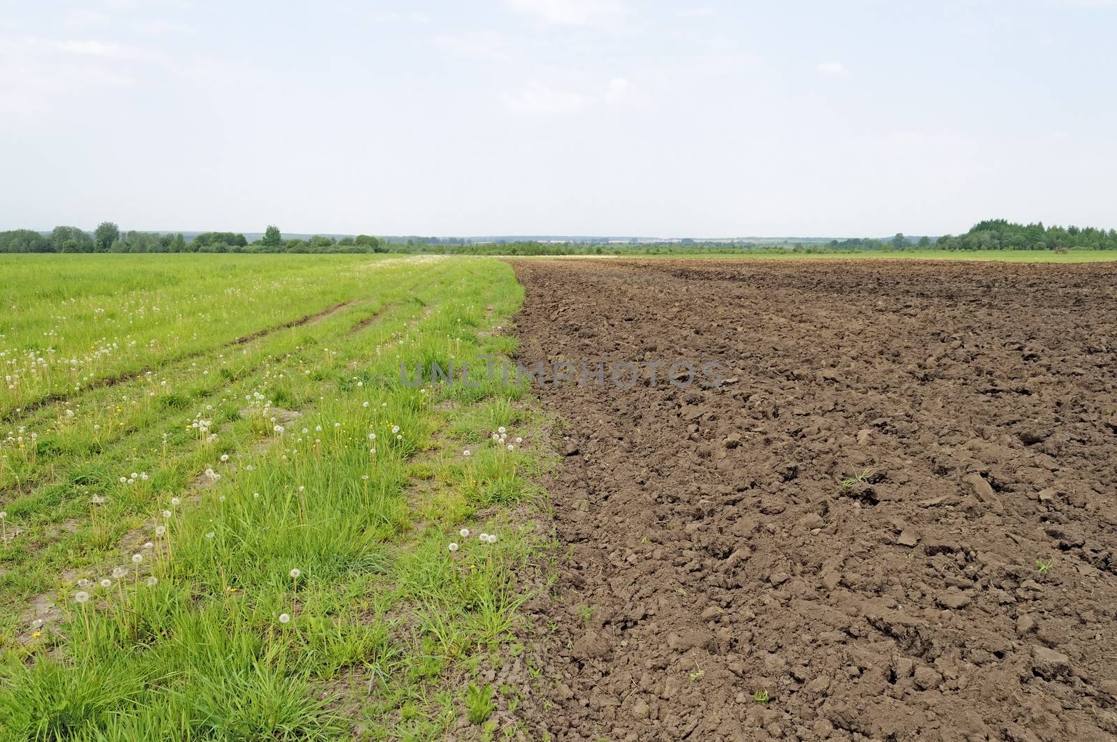 Freshly plowed farm field before sowing, spring time