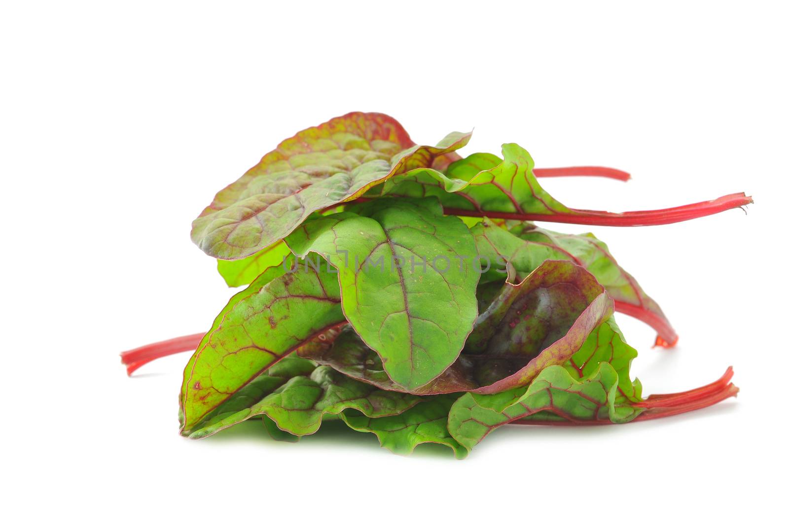 Red Chard salad leaves