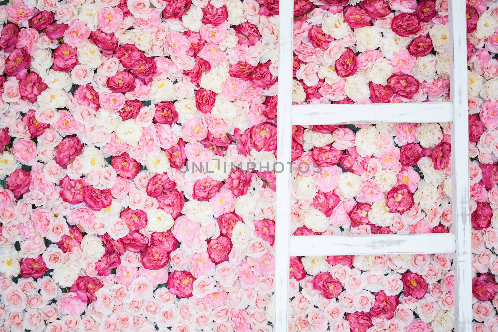 background full of white and pink roses by dolgachov
