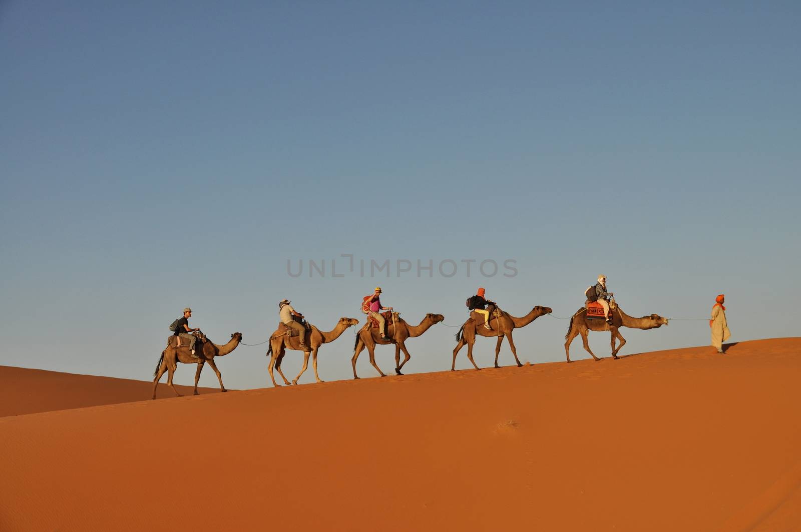 MERZOUGA DESERT - OCTOBER 01: Tourists in a camel caravan in Merzouga Desert, Morocco on October 01, 2013.
