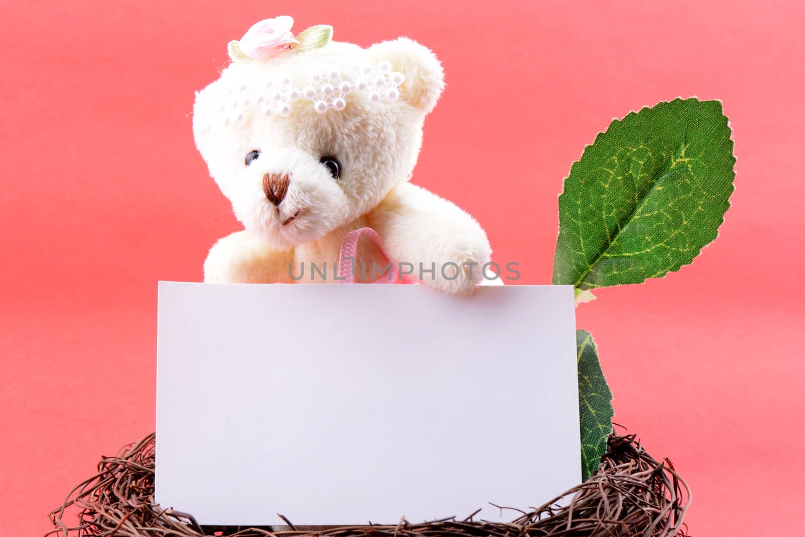 Nest with a blank white card and teddy bear on a pink background