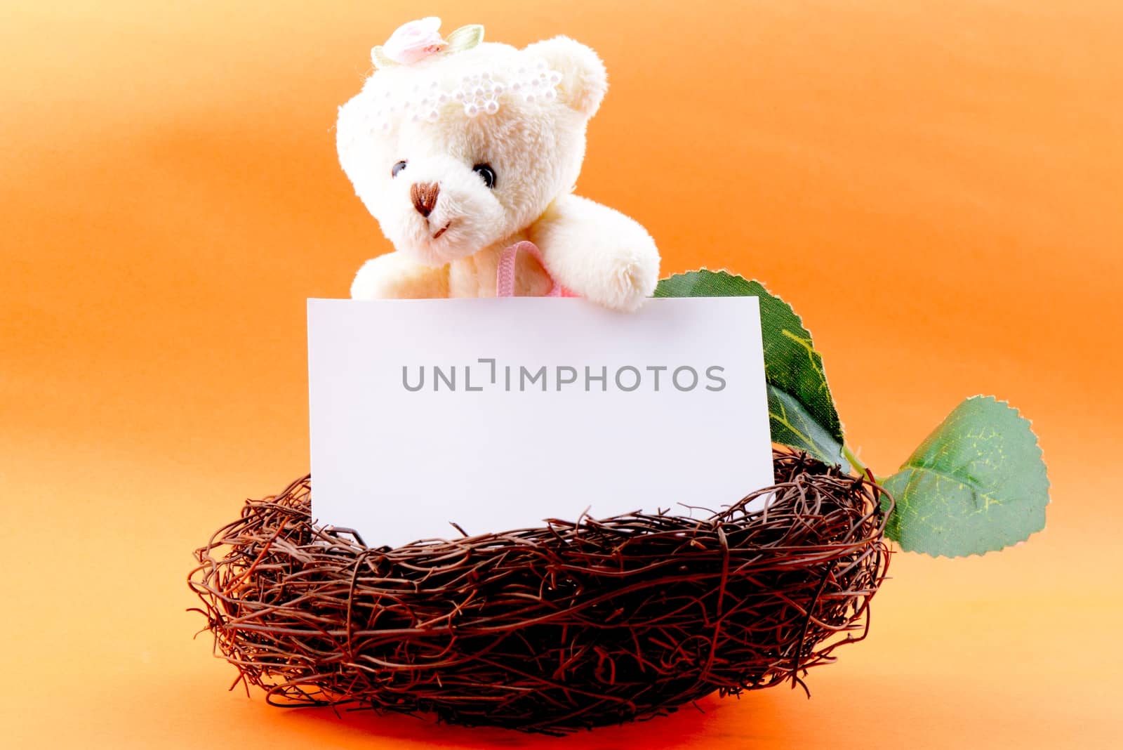 Nest with a blank white card and teddy bear on an orange background