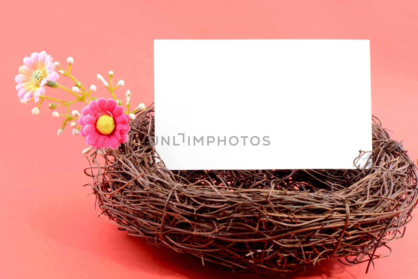 Nest with a blank white card on a pink background