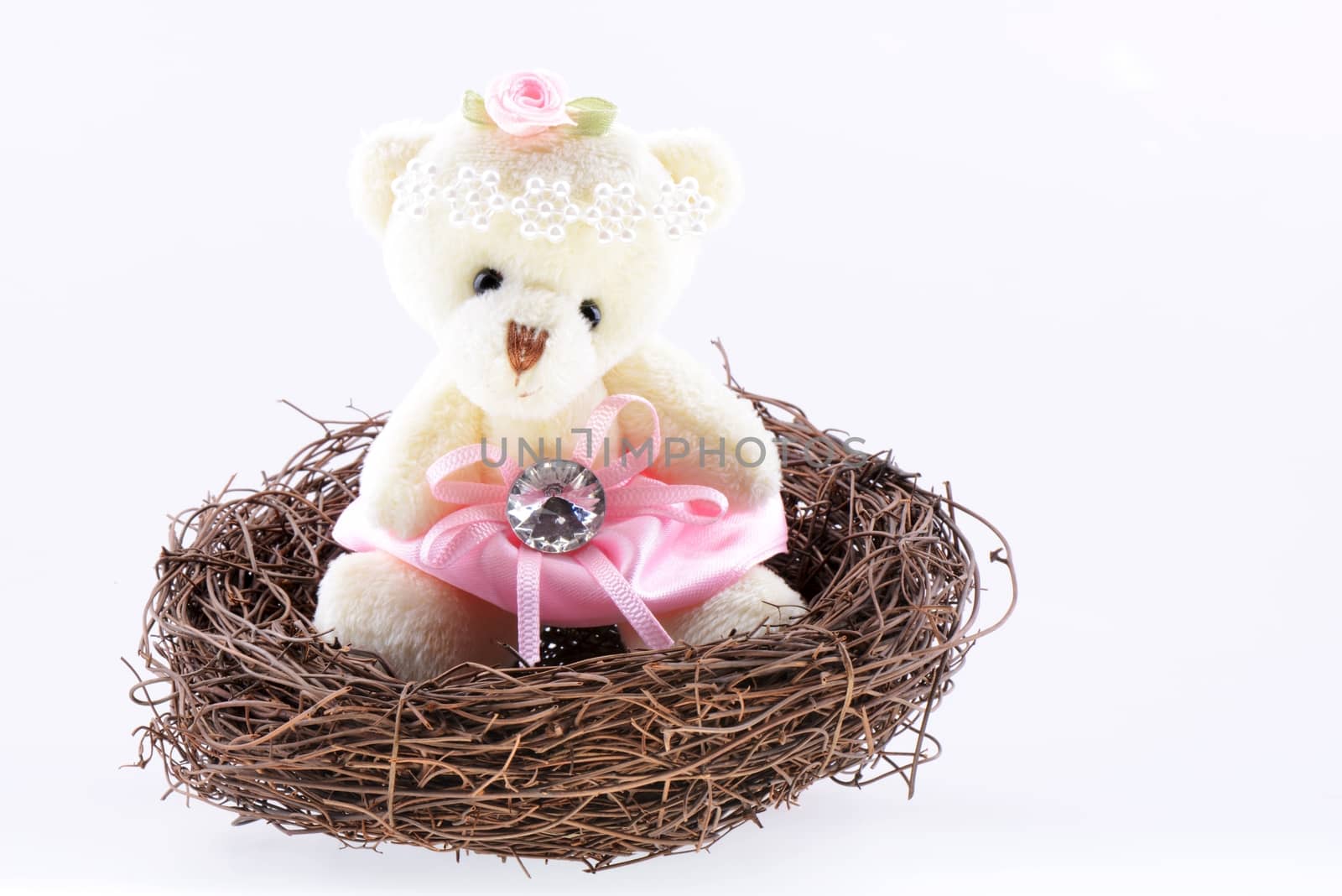 Nest with a Teddy Bear by bbbar
