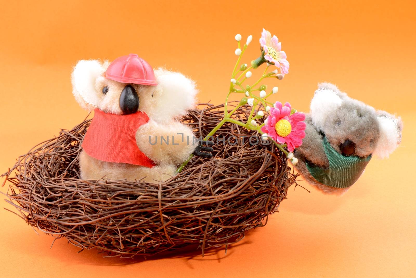 Nest with two Toy Koala on an orange background