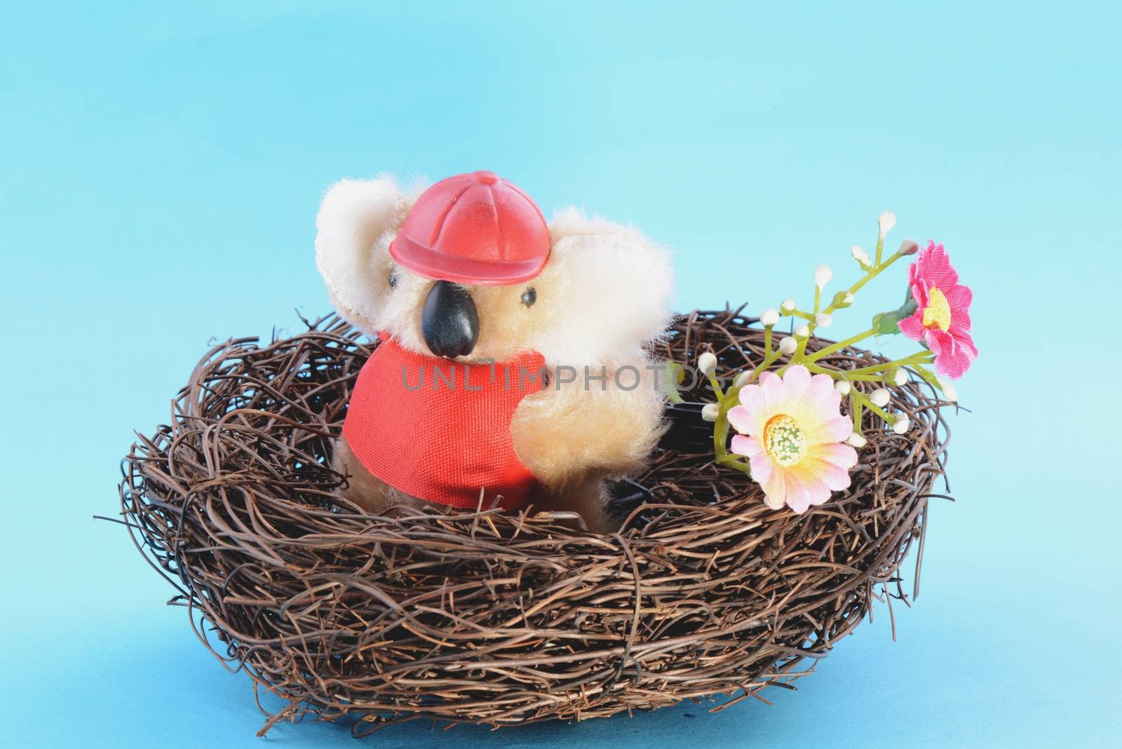 Nest with a Toy Koala on a blue background