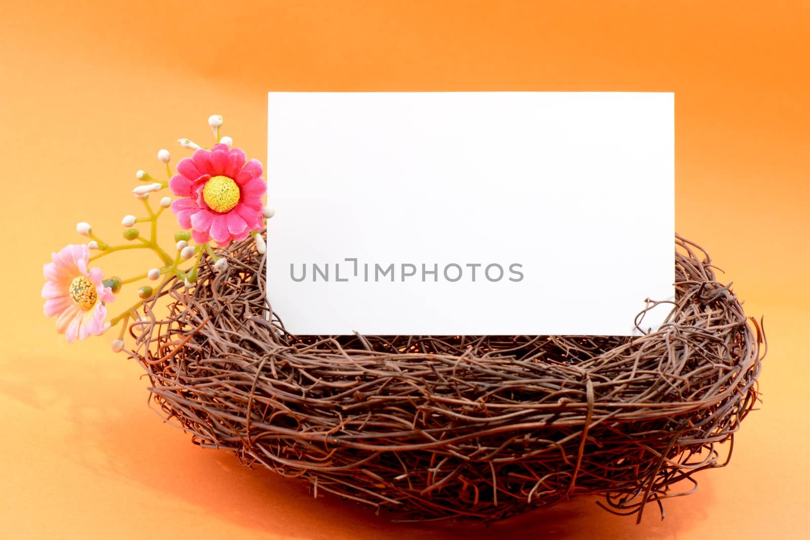 Nest with a blank white card on an orange background
