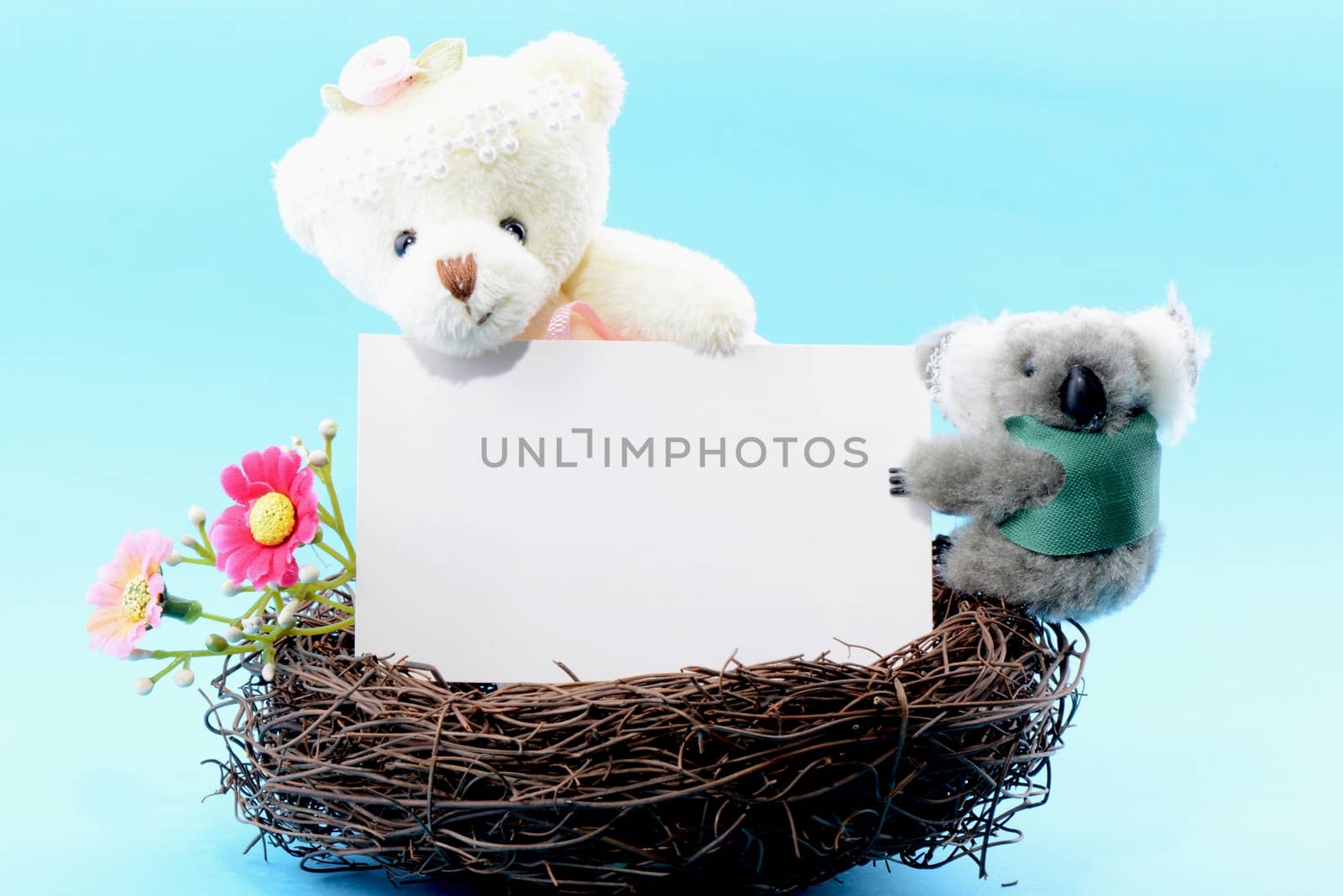 Nest with a blank white card held by a toy teddy bear and koala on a blue background