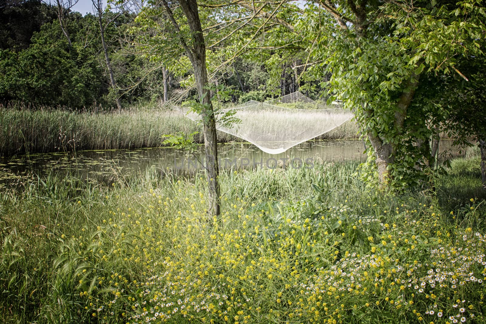 Fishing hut on the Pialassa della Baiona brackish lagoon near Marina Romea along te  Adriatic seaside in Ravenna (Italy)