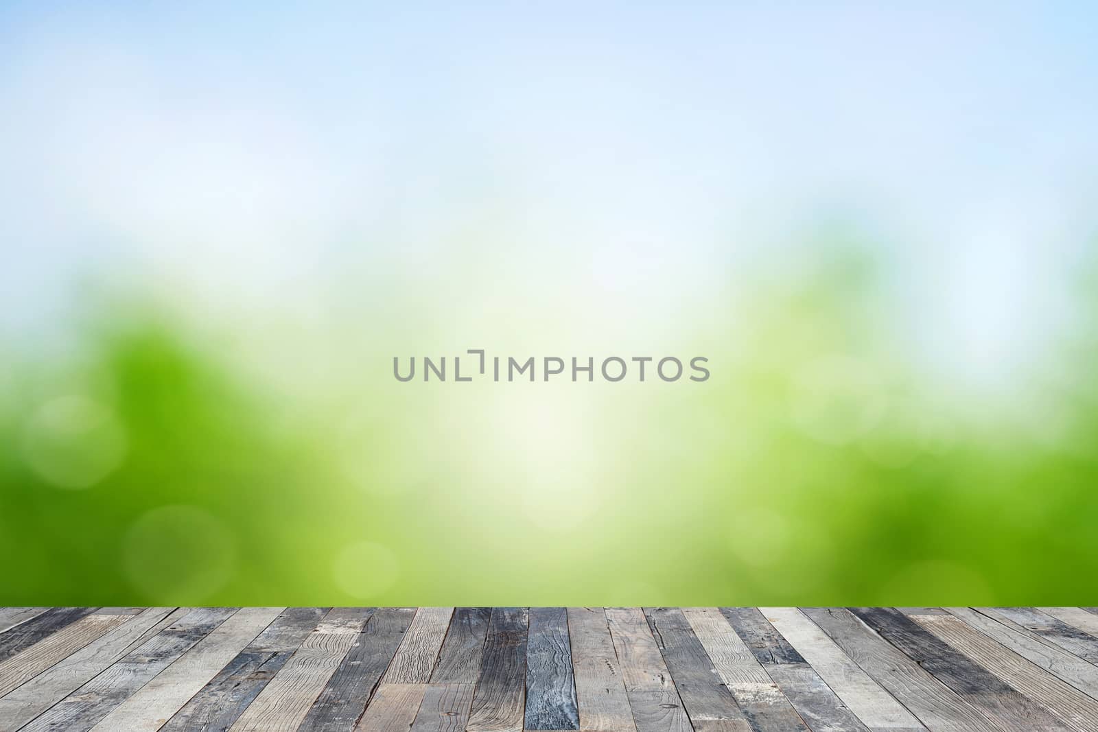 View of the spring background above a wooden floor