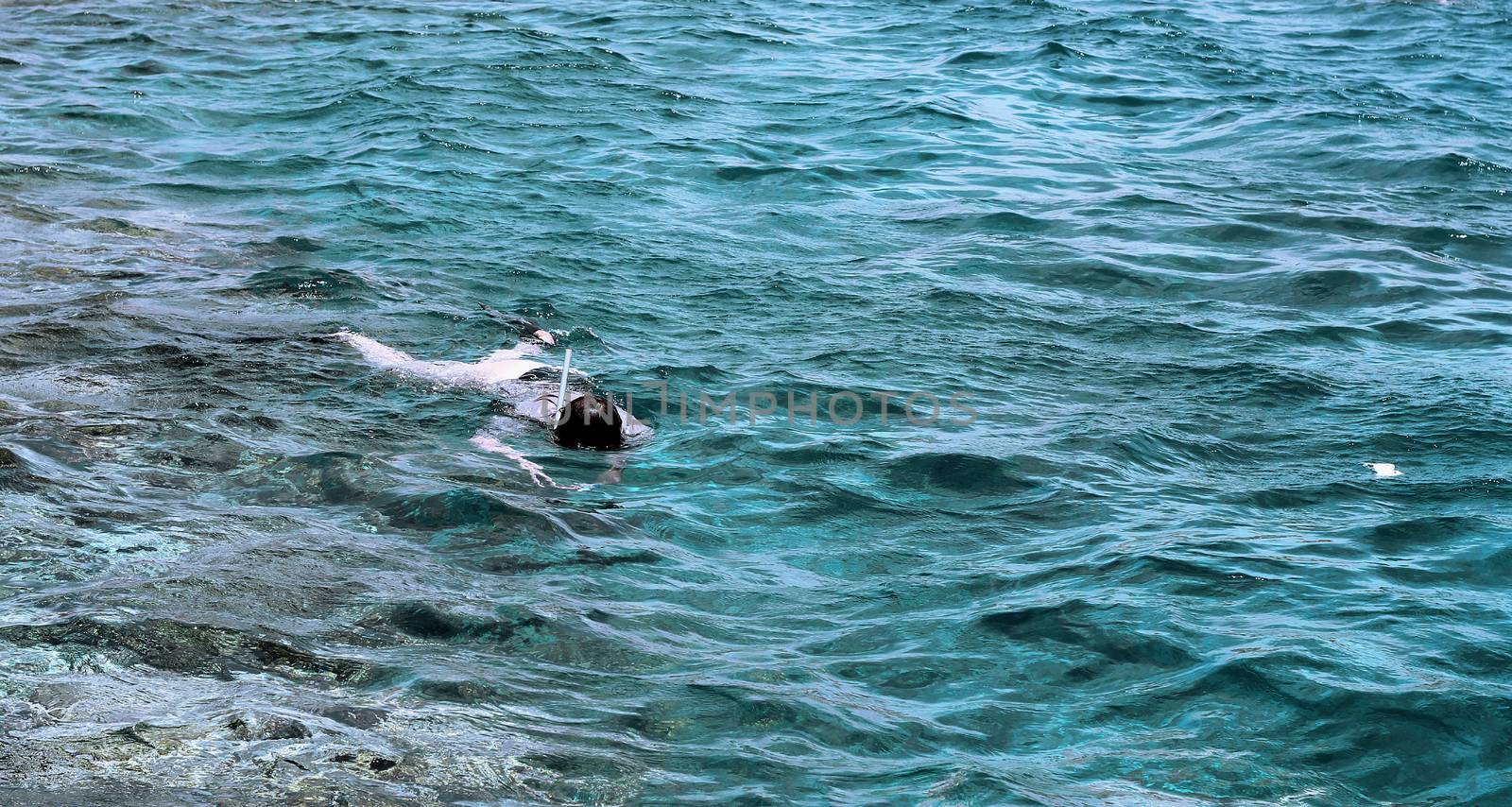 Woman photographer diving into water of Red sea